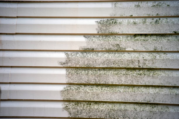 Affordable siding repair and maintenance services in Patterson, LA